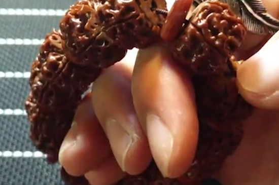 <a href=https://www.jbf.cn/tag/10338.html target=_blank class=infotextkey>金刚菩提正确清理方法</a>