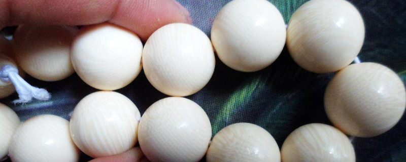 <a href=https://www.jbf.cn/tag/357.html target=_blank class=infotextkey>灯光怎么鉴定象牙真假</a>